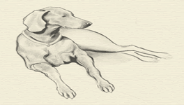 Illustration from One Dog, Two Dogs, Three Dogs, Four...