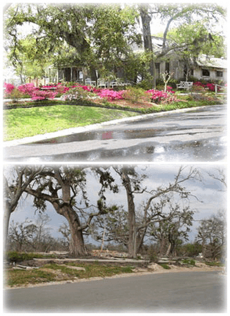 Our House, before and after Katrina