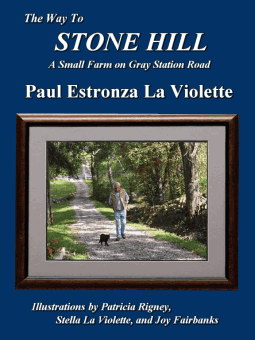 Cover of The Way to Stone Hill