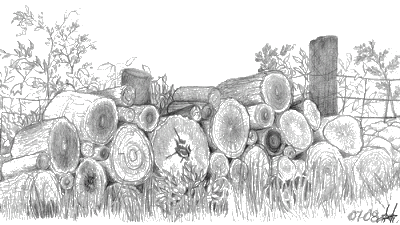Illustration from The Way to Stone Hill