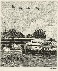 Illustration from Views from a Front Porch