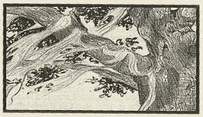 Illustration from Where the Blue Herons Dance