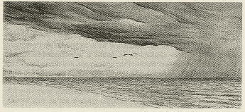 Illustration from Where the Blue Herons Dance