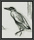 Art from 'A White Egret in the Shallows: Tales of Living in a Beach House on the Gulf Coast.'