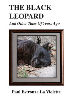 The Black Leopard - Annabelle Books