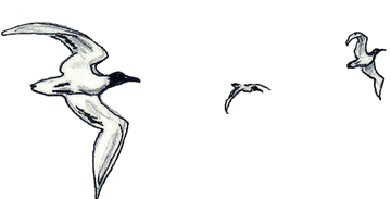 Art from 'Perry and Elliott'